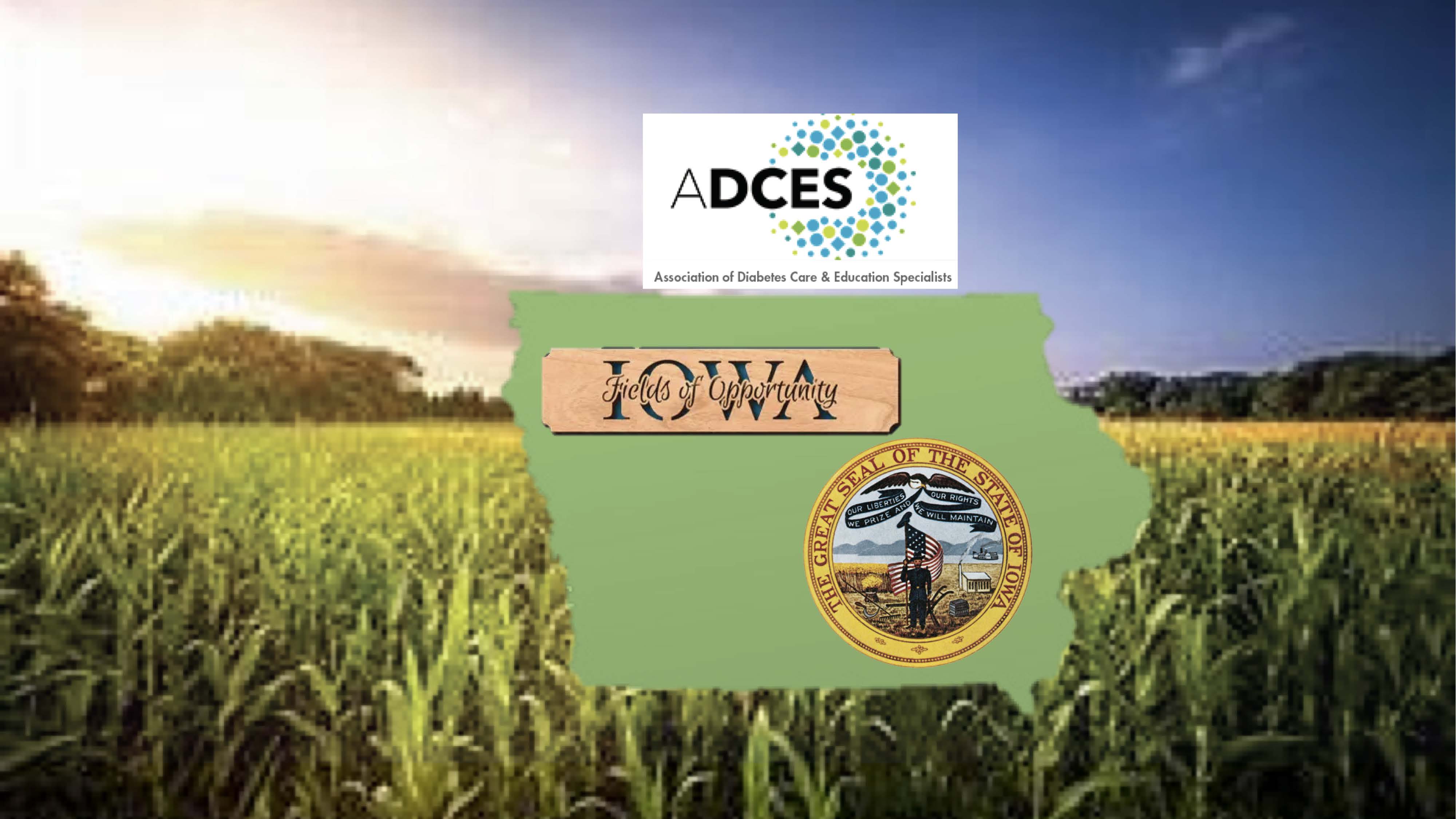 Iowa Diabetes + Wellness Summit   DMU CME